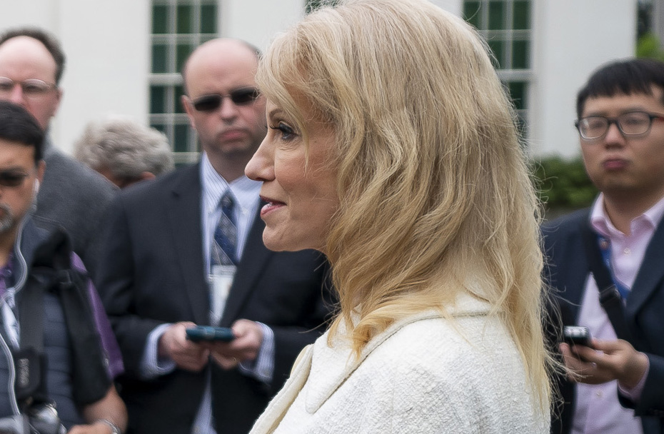 Kelly Ann Conway Facelift